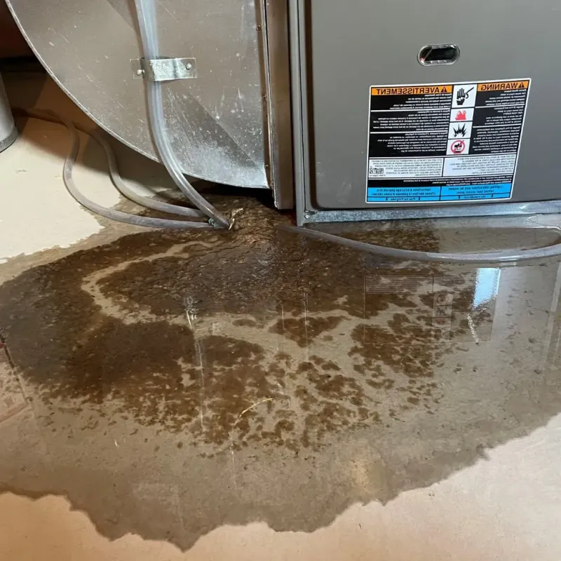 Pipe Burst and Leak Restoration in Okmulgee, OK